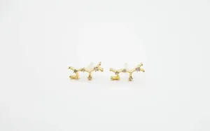 Sagittarius Earrings Nov 22. - Dec 21.